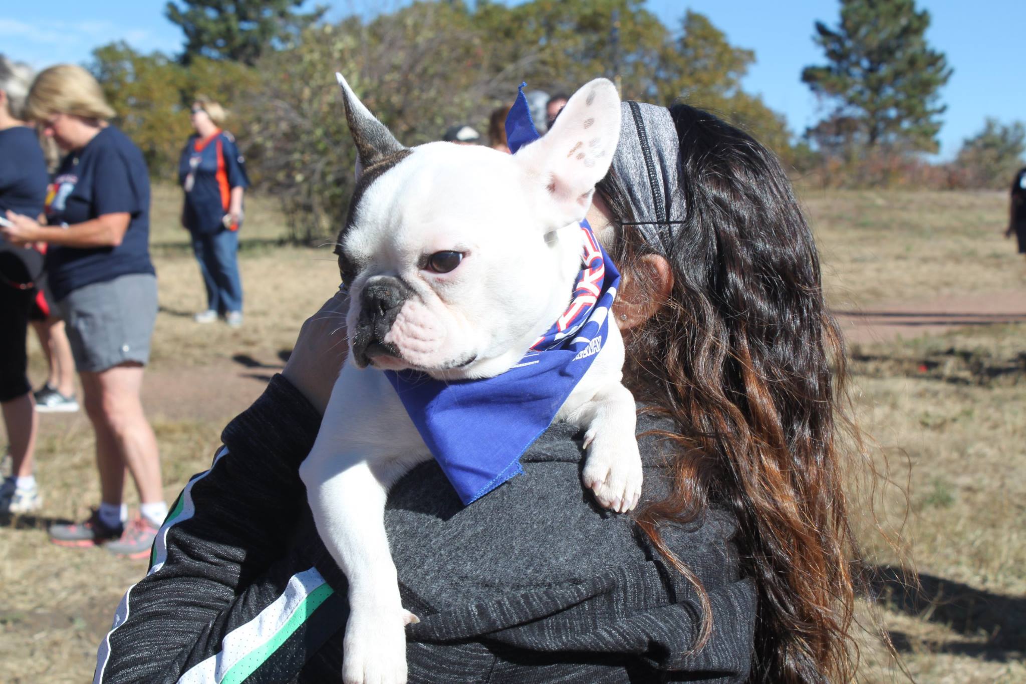 A dog in a bandana at the .5K